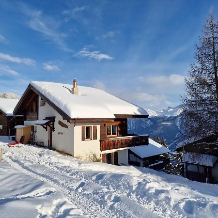 Bettmeralp Chalet Zendorn Apartment Екстериор снимка