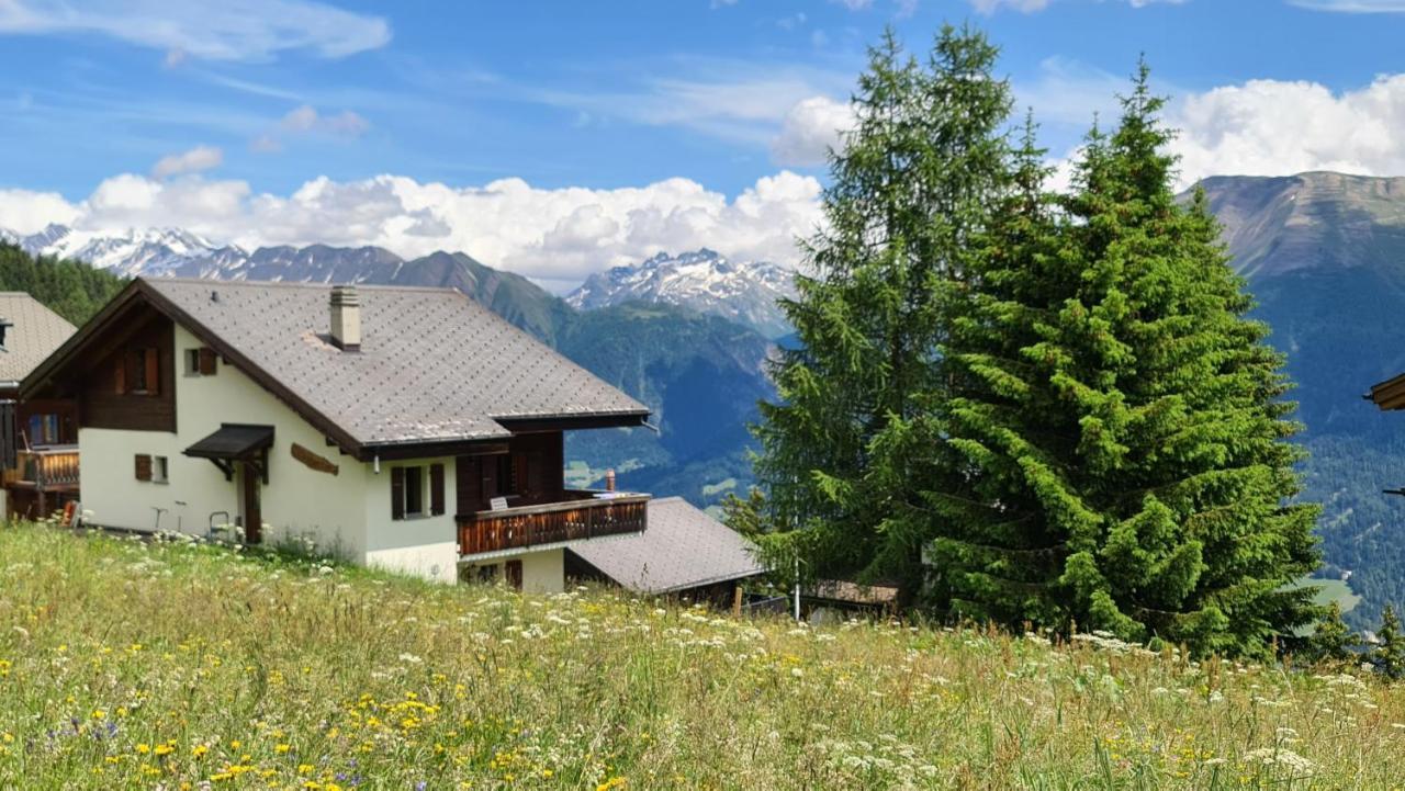 Bettmeralp Chalet Zendorn Apartment Екстериор снимка