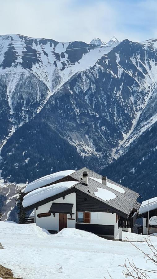 Bettmeralp Chalet Zendorn Apartment Екстериор снимка