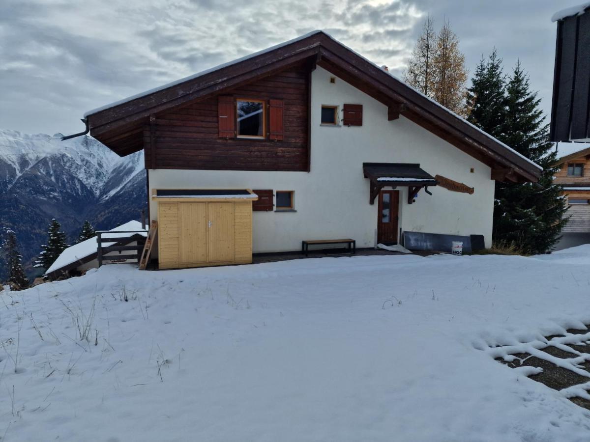 Bettmeralp Chalet Zendorn Apartment Екстериор снимка