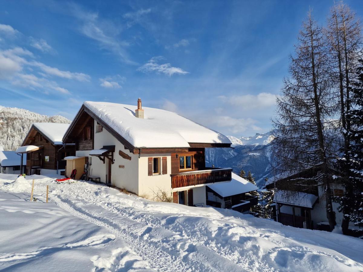 Bettmeralp Chalet Zendorn Apartment Екстериор снимка